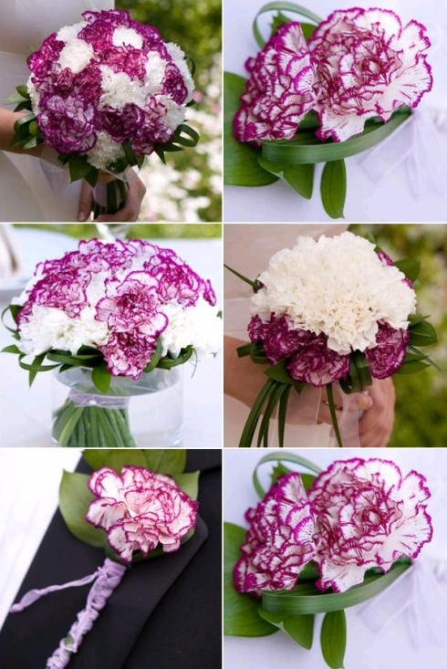 carnationweddingflowersideasjpg Among the wedding flower ideas 